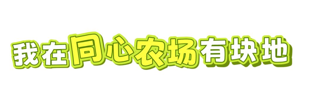 ³繝(ji)ȫ